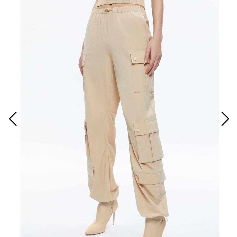 Alice and Olivia parachute cargo pants